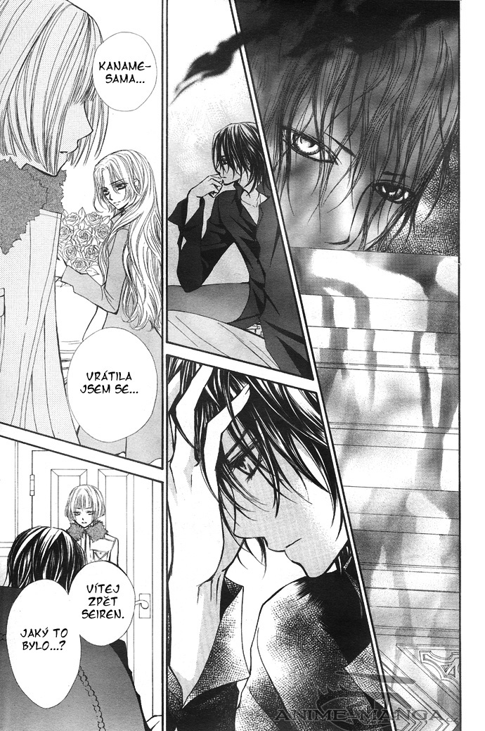 Vampire_Knight_ch29_17 kopie.jpg